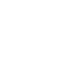 icon-crowd