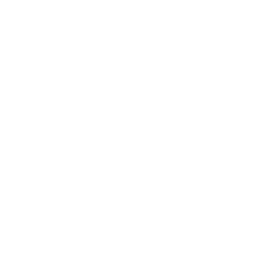 icon-sto