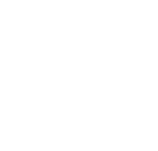 icon-test